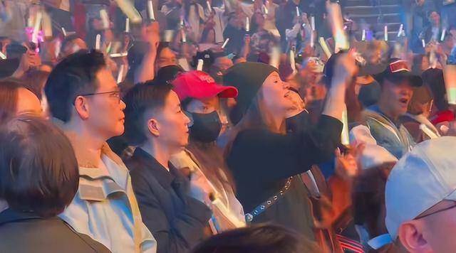 刘德华演唱会实录：表演滑跪失败<strong></p>
<p>视频软件</strong>，甄子丹舒淇任达华台下蹦迪