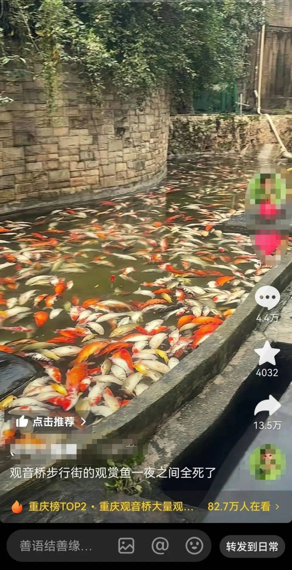 ​一公园观赏鱼大量死亡<strong></p>
<p>视频软件</strong>，死鱼装满30余编织袋，警方通报