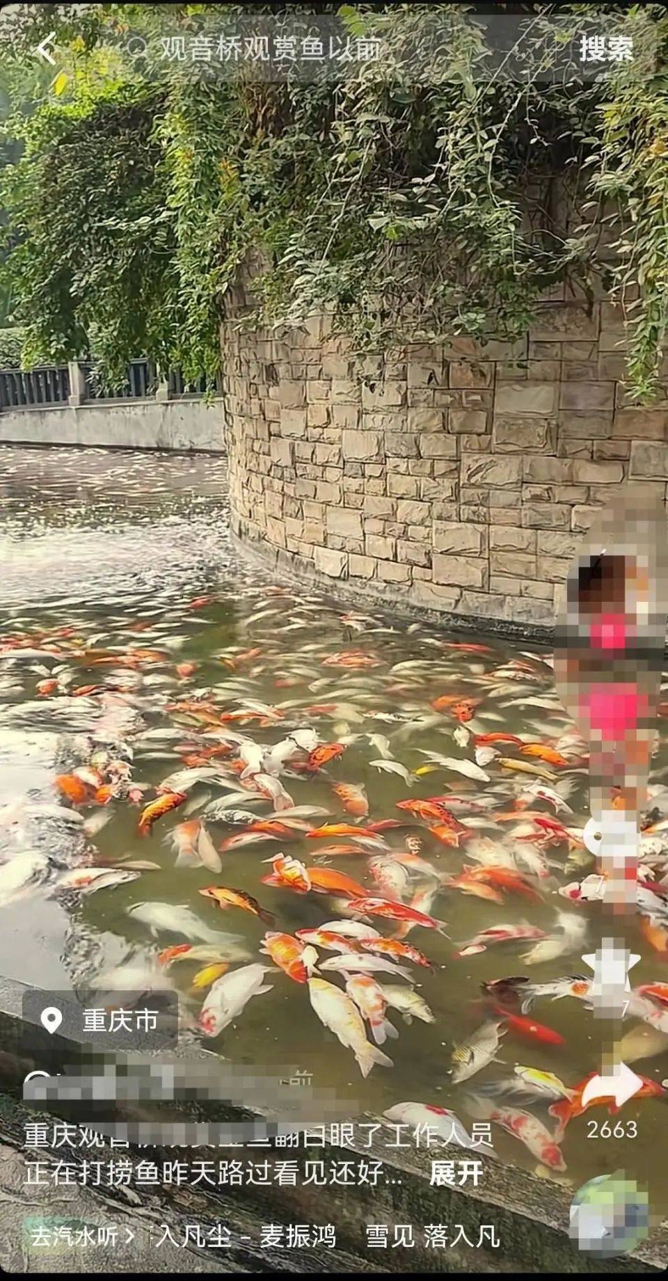 ​一公园观赏鱼大量死亡<strong></p>
<p>视频软件</strong>，死鱼装满30余编织袋，警方通报