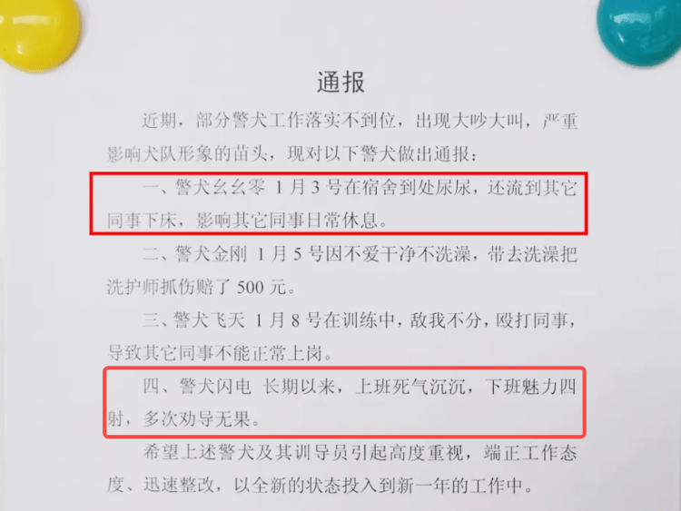 “上班死气沉沉、下班魅力四射”<strong></p>
<p>视频软件</strong>，警犬被通报
