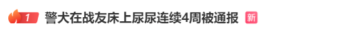 “上班死气沉沉、下班魅力四射”<strong></p>
<p>视频软件</strong>，警犬被通报