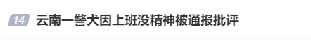 “上班死气沉沉、下班魅力四射”<strong></p>
<p>视频软件</strong>，警犬被通报