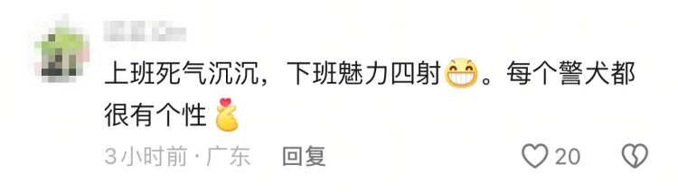 “上班死气沉沉、下班魅力四射”<strong></p>
<p>视频软件</strong>，警犬被通报