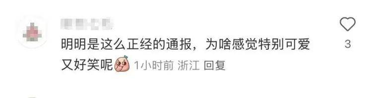“上班死气沉沉、下班魅力四射”<strong></p>
<p>视频软件</strong>，警犬被通报