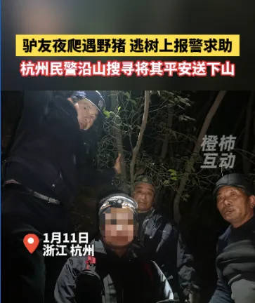 “我现在在树上<strong></p>
<p>厦门货币交易市场在哪里</strong>，野猪在下面……”杭州一男子深夜报警！