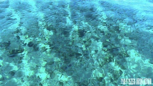青岛女子买下70万平米小岛后续来了：目前没打算私有<strong></p>
<p>厦门货币交易市场在哪里</strong>，七八月份将带员工到岛上团建