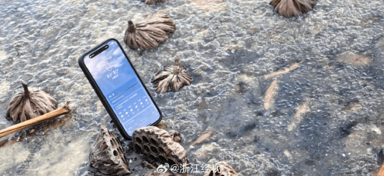 刚刚<strong></p>
<p>厦门货币交易市场在哪里</strong>，西湖结冰了！杭州人挺住，接下来狂飙至22℃