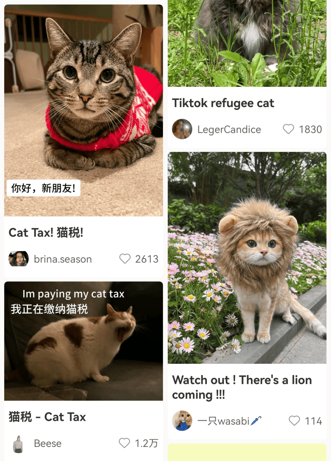 大量外国网友涌入小红书<strong></p>
<p>炒币k线图分析法</strong>，网友喊话：别下载拼多多，等我邀请你