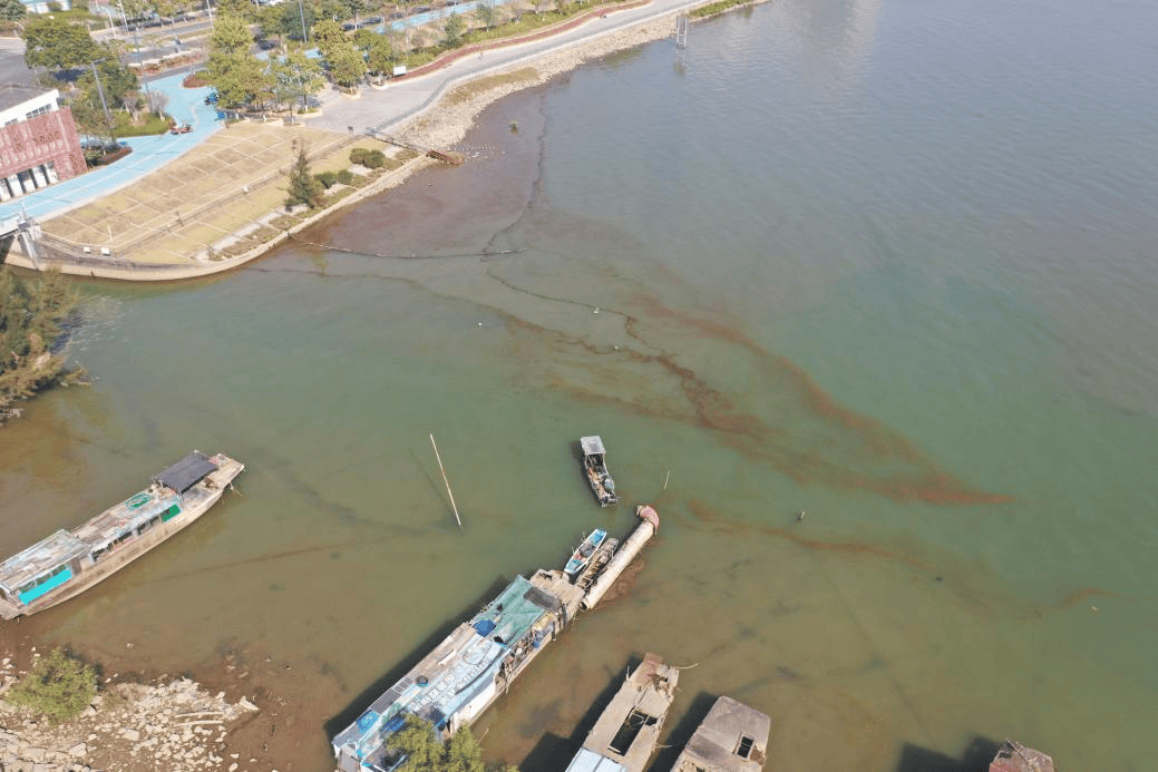 海边密集出现“爆爆珠”<strong></p>
<p>炒币k线图分析法</strong>？广州、深圳等多地发布提醒