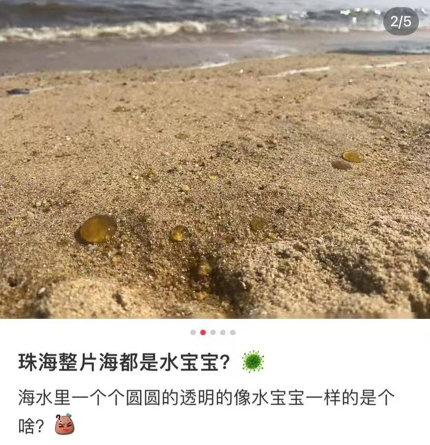 海边密集出现“爆爆珠”<strong></p>
<p>炒币k线图分析法</strong>？广州、深圳等多地发布提醒