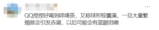 海边密集出现“爆爆珠”<strong></p>
<p>炒币k线图分析法</strong>？广州、深圳等多地发布提醒