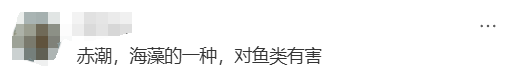 海边密集出现“爆爆珠”<strong></p>
<p>炒币k线图分析法</strong>？广州、深圳等多地发布提醒