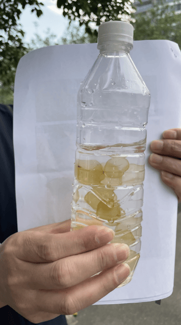 海边密集出现“爆爆珠”<strong></p>
<p>炒币k线图分析法</strong>？广州、深圳等多地发布提醒