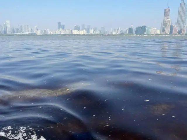海边密集出现“爆爆珠”<strong></p>
<p>炒币k线图分析法</strong>？广州、深圳等多地发布提醒