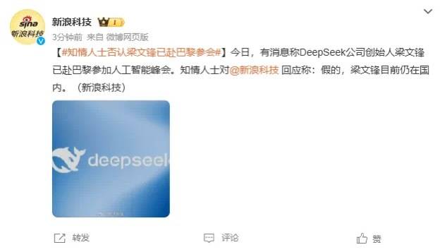 DeepSeek梁文锋用黑科技远程参加巴黎AI峰会？假的<strong></p>
<p>币圈和链圈的区别</strong>！