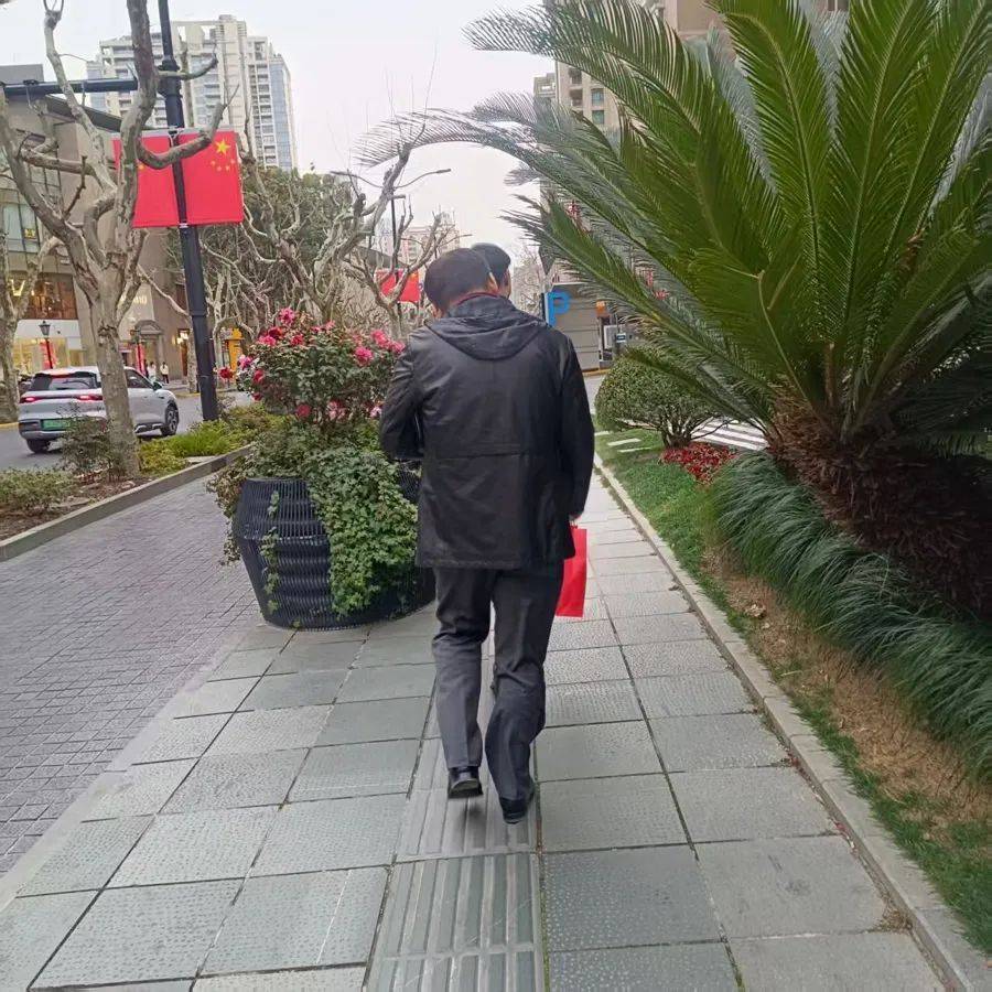 不是扎脸就是扎头<strong></p>
<p>basecoin币</strong>，还有毒！上海街头这种行道树合适吗？