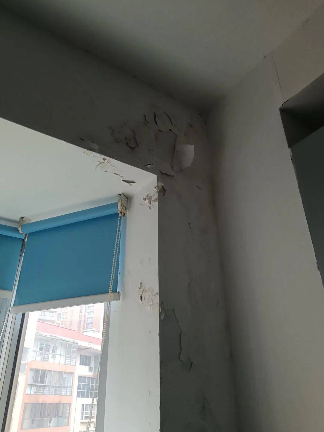 长沙一小区楼顶被种出茂密“丛林”<strong></p>
<p>basecoin币</strong>，居民担心安全！城管：屋顶有产权，会上门查看