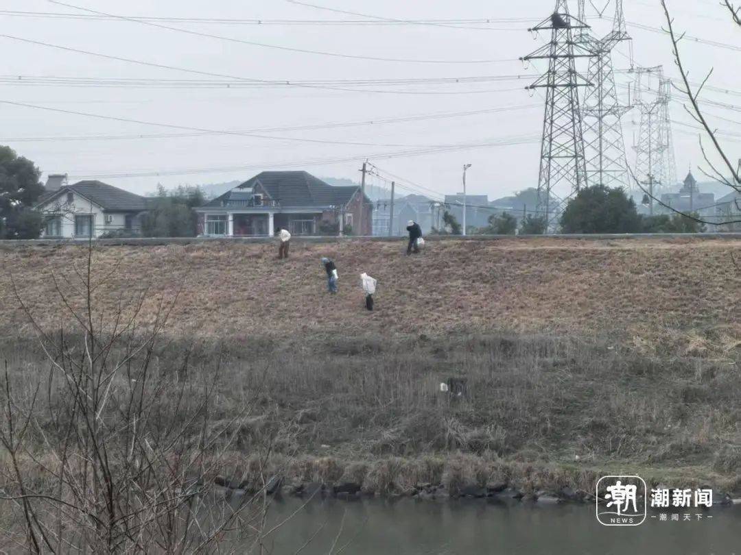 “挖挖挖<strong></p>
<p>债券买断式回购交易</strong>！捣捣捣！”浙江很多人组团出动挖春菜：太上头……