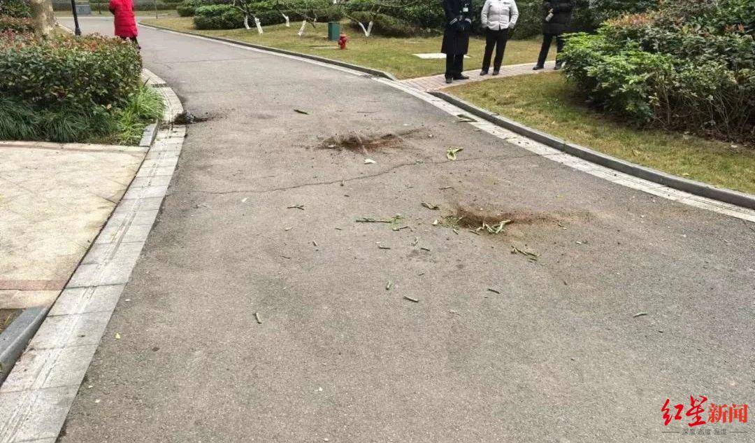 女子与男友吵架后从8楼扔下3个花盆险砸中路人<strong></p>
<p>香港电子交易货币</strong>，被判拘役并处罚金