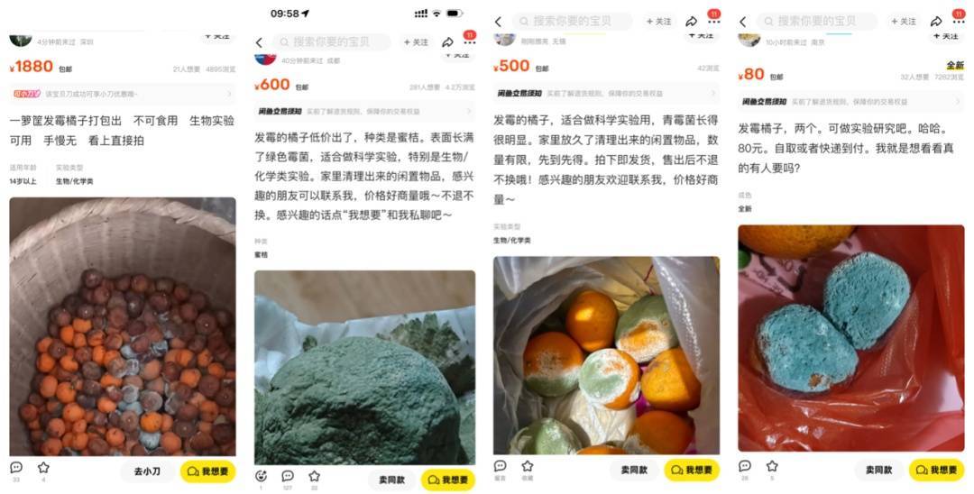 突然火了<strong></p>
<p>如何在币圈发币</strong>！有人卖500元一个！网友：后悔扔了……