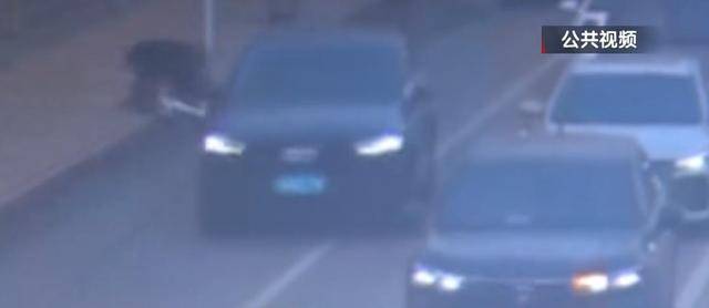 骑自行车碰瓷！北京一六旬男子骗取25人共4.6万余元<strong></p>
<p>主流币如何选</strong>，法院判了