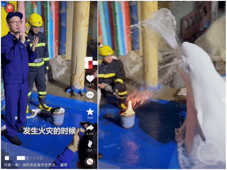 大连一海洋世界消防演练时白鲸喷水灭火<strong></p>
<p>货币如何产生</strong>，工作人员：它智商很高，看到危险会喷水