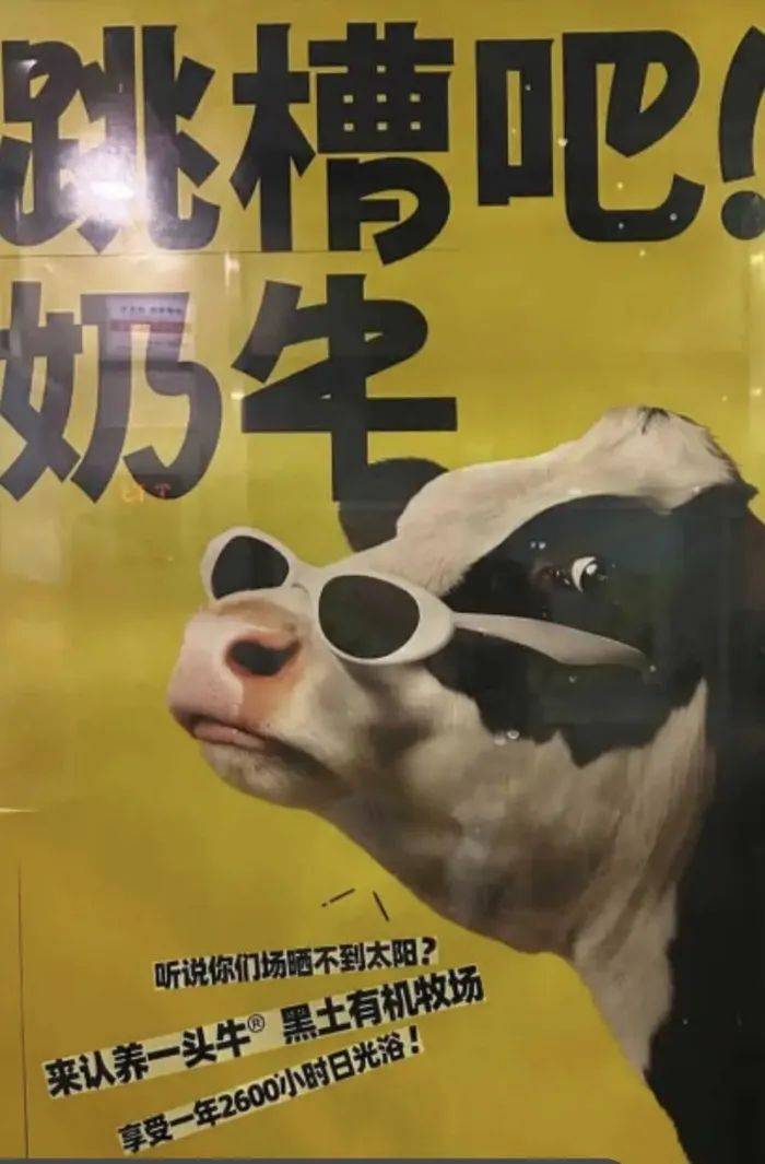 认养一头牛广告被质疑讽刺打工人<strong></p>
<p>炒币如何看盘</strong>，公司回应：致敬BOSS直聘