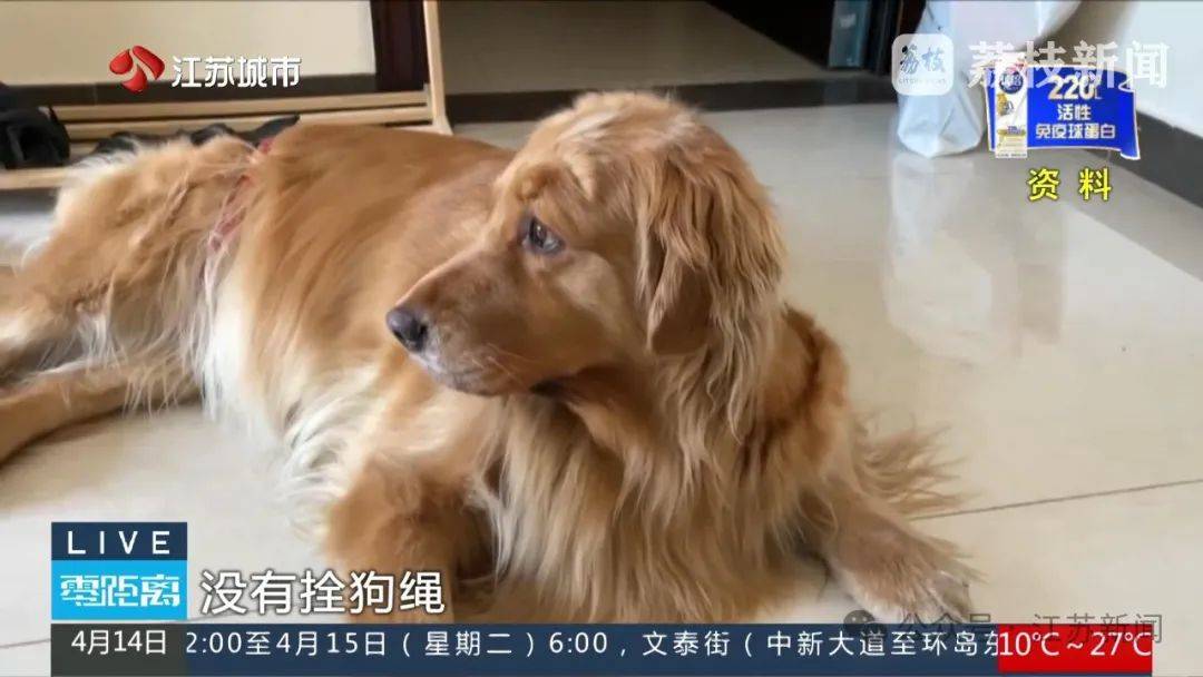 八旬老人被金毛扑倒致死<strong></p>
<p>炒币如何看盘</strong>，邻居不愿赔10万，法院：赔40万！