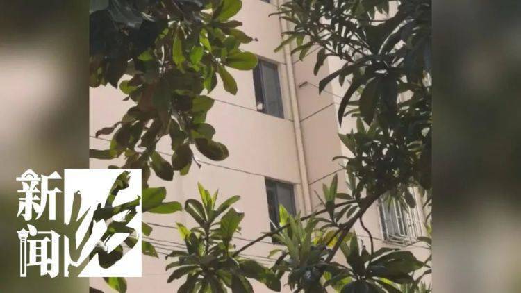 被折磨到崩溃！上海一九旬老太每天定时“输出”<strong></p>
<p>如何上币</strong>，邻居被迫“魔法打魔法”