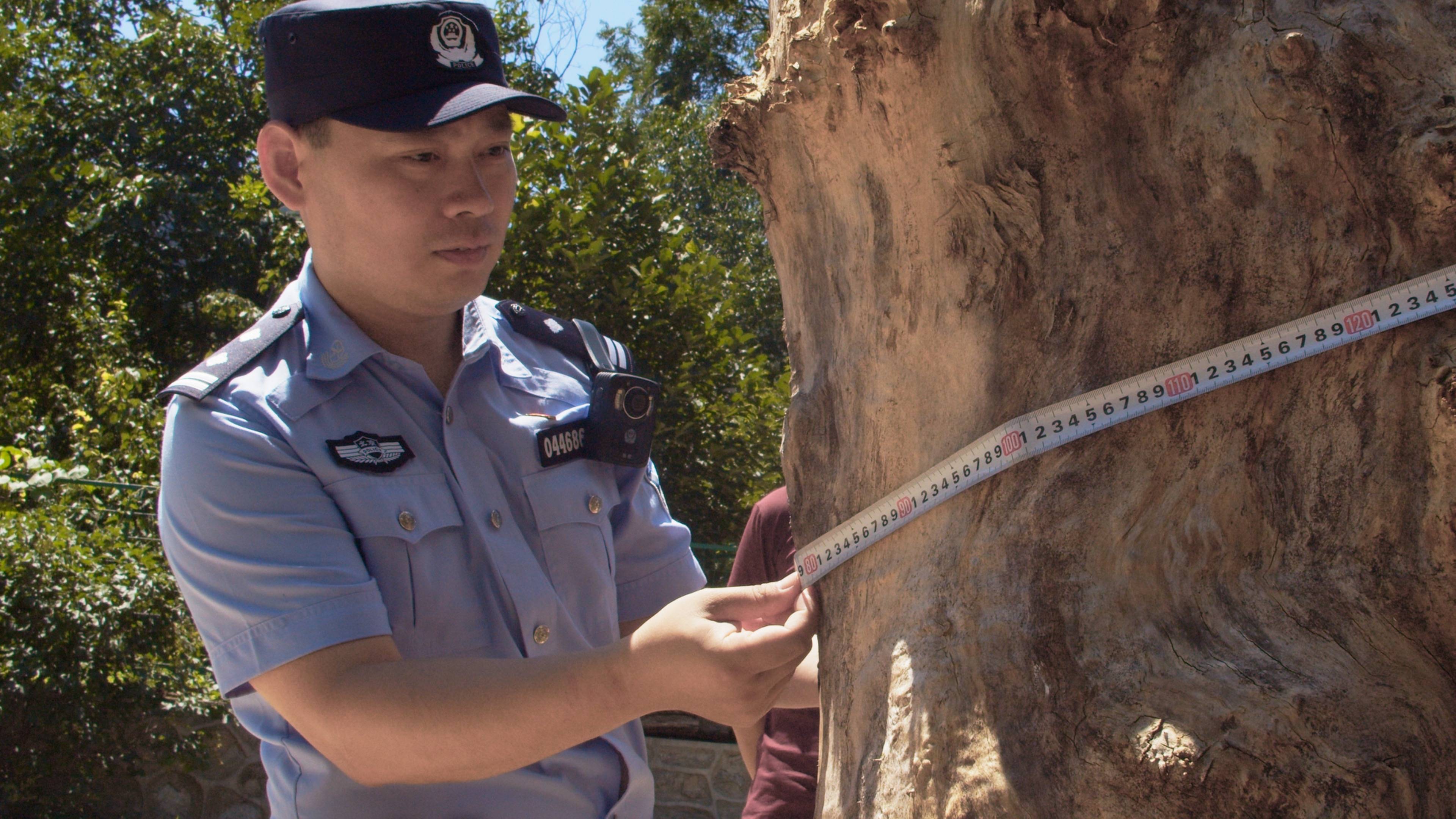 森林警察韩孟祺：乔装成驴友潜伏密林中<strong></p>
<p>如何充币</strong>，抓获“粘鸟”嫌疑人