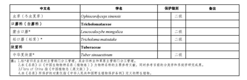 价值18万余元！男子在祁连山非法收购5632根冬虫夏草<strong></p>
<p>债券如何进行交易</strong>，构成危害国家重点保护植物罪获刑