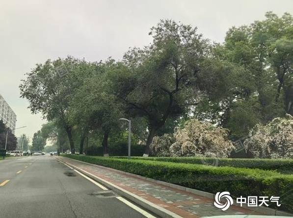 北京午后至夜间有雷阵雨 局地需防短时大风或冰雹