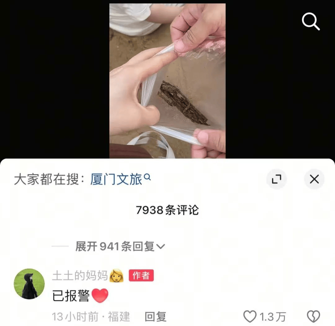 女子在沙滩玩20分钟捡<strong></p>
<p>如何成为炒币高手</strong>了小半兜生锈铁钉