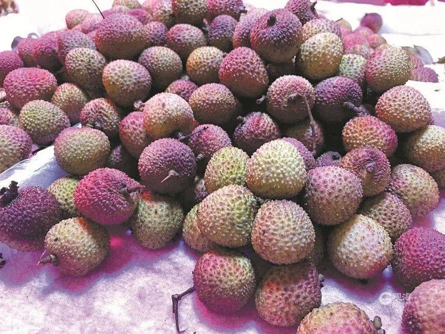 大跳水<strong></p>
<p>普洱币怎么交易</strong>，暴跌40%！老板：一天一个价，估计还要跌