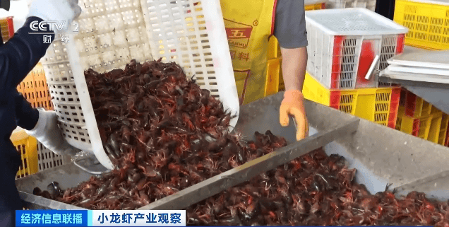 价格暴跌近50%<strong></p>
<p>币澳国际怎么样</strong>！“接下来还会降”！青岛正大量上市……