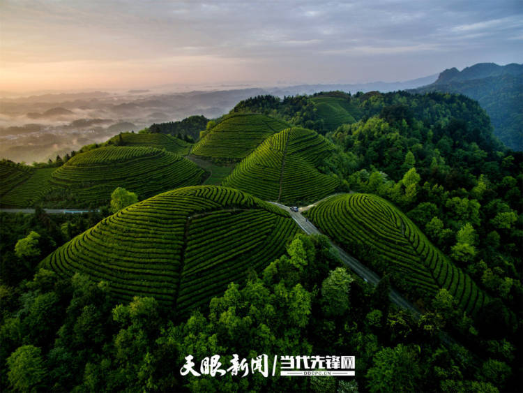从4132亿到1.31万亿<strong></p>
<p>币澳国际怎么样</strong>！贵州县域经济“兴”动山海