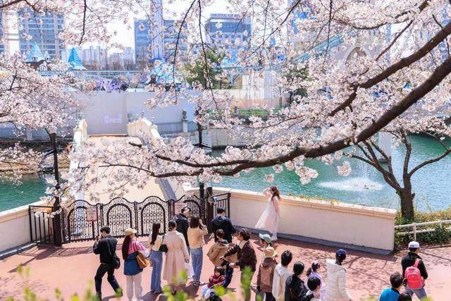韩国人结婚奖励超1000万韩元 晚婚和不婚现象逐渐增多
