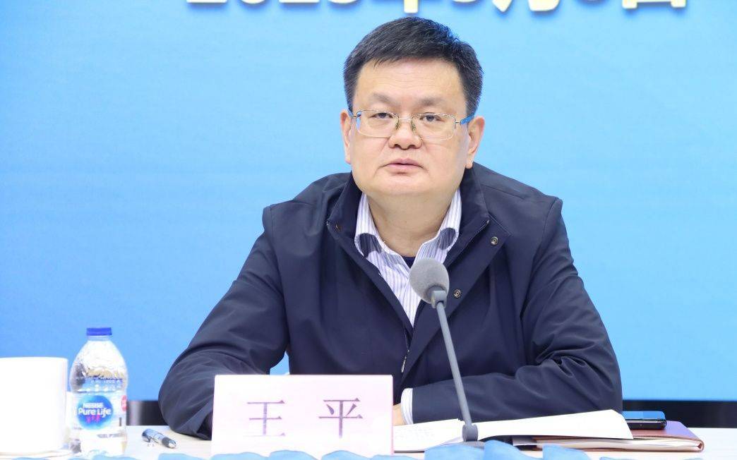 上海市政府办公厅主任王平<strong></p>
<p>迷你币</strong>，履新职