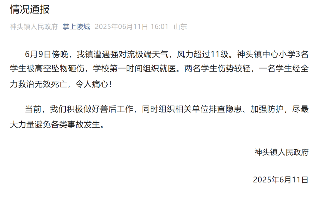 山东德州通报“小学楼顶光伏板掉落砸中多名学生”：3名学生被砸伤<strong></p>
<p>y币冻结怎么办</strong>，1名学生经全力救治无效死亡