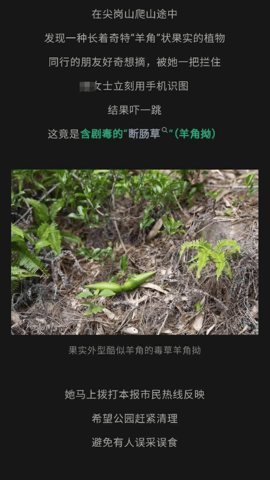 大片连根铲除！深圳一公园“火速响应”引质疑<strong></p>
<p>莱姆币怎么交易</strong>，网友为它喊冤