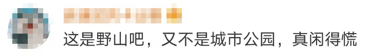 大片连根铲除！深圳一公园“火速响应”引质疑<strong></p>
<p>莱姆币怎么交易</strong>，网友为它喊冤