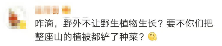 大片连根铲除！深圳一公园“火速响应”引质疑<strong></p>
<p>莱姆币怎么交易</strong>，网友为它喊冤
