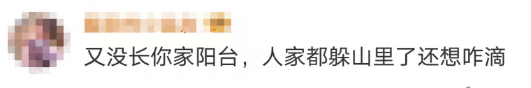 大片连根铲除！深圳一公园“火速响应”引质疑<strong></p>
<p>莱姆币怎么交易</strong>，网友为它喊冤