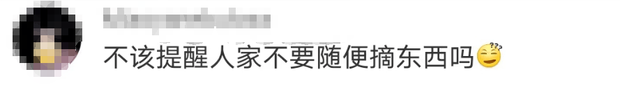 大片连根铲除！深圳一公园“火速响应”引质疑<strong></p>
<p>莱姆币怎么交易</strong>，网友为它喊冤