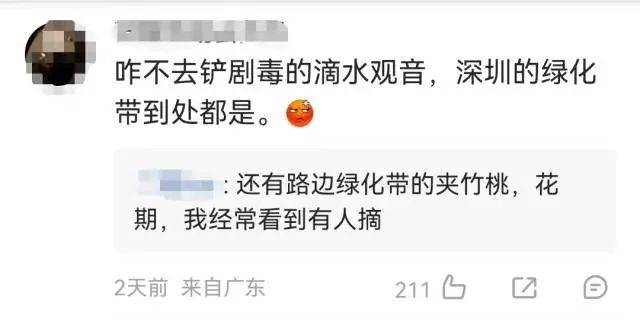 大片连根铲除！深圳一公园“火速响应”引质疑<strong></p>
<p>莱姆币怎么交易</strong>，网友为它喊冤