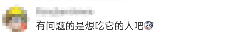 大片连根铲除！深圳一公园“火速响应”引质疑<strong></p>
<p>莱姆币怎么交易</strong>，网友为它喊冤