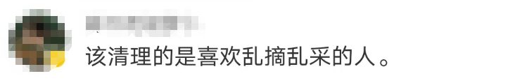 大片连根铲除！深圳一公园“火速响应”引质疑<strong></p>
<p>莱姆币怎么交易</strong>，网友为它喊冤