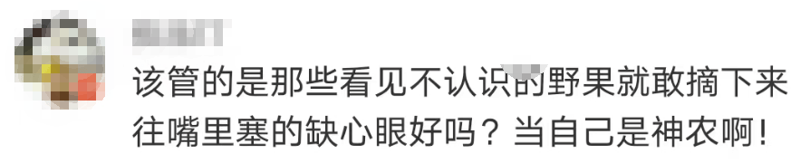 大片连根铲除！深圳一公园“火速响应”引质疑<strong></p>
<p>莱姆币怎么交易</strong>，网友为它喊冤