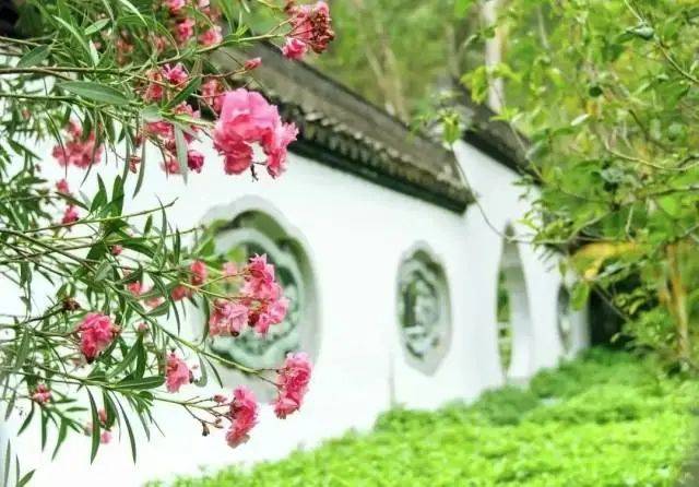 大片连根铲除！深圳一公园“火速响应”引质疑<strong></p>
<p>莱姆币怎么交易</strong>，网友为它喊冤