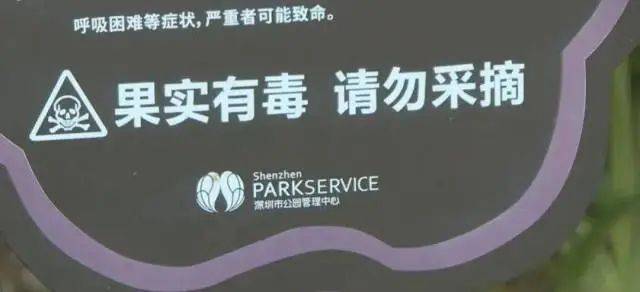 大片连根铲除！深圳一公园“火速响应”引质疑<strong></p>
<p>莱姆币怎么交易</strong>，网友为它喊冤